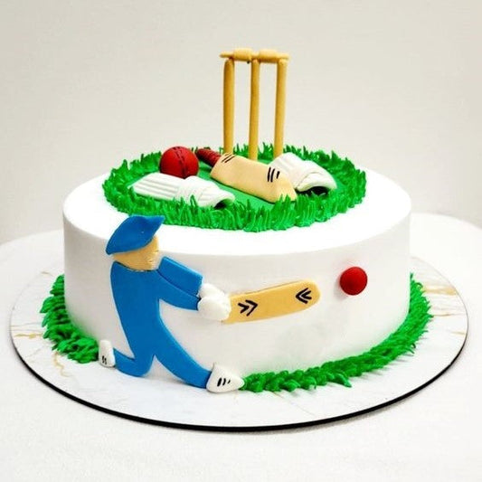 Crazy Cricket Cake