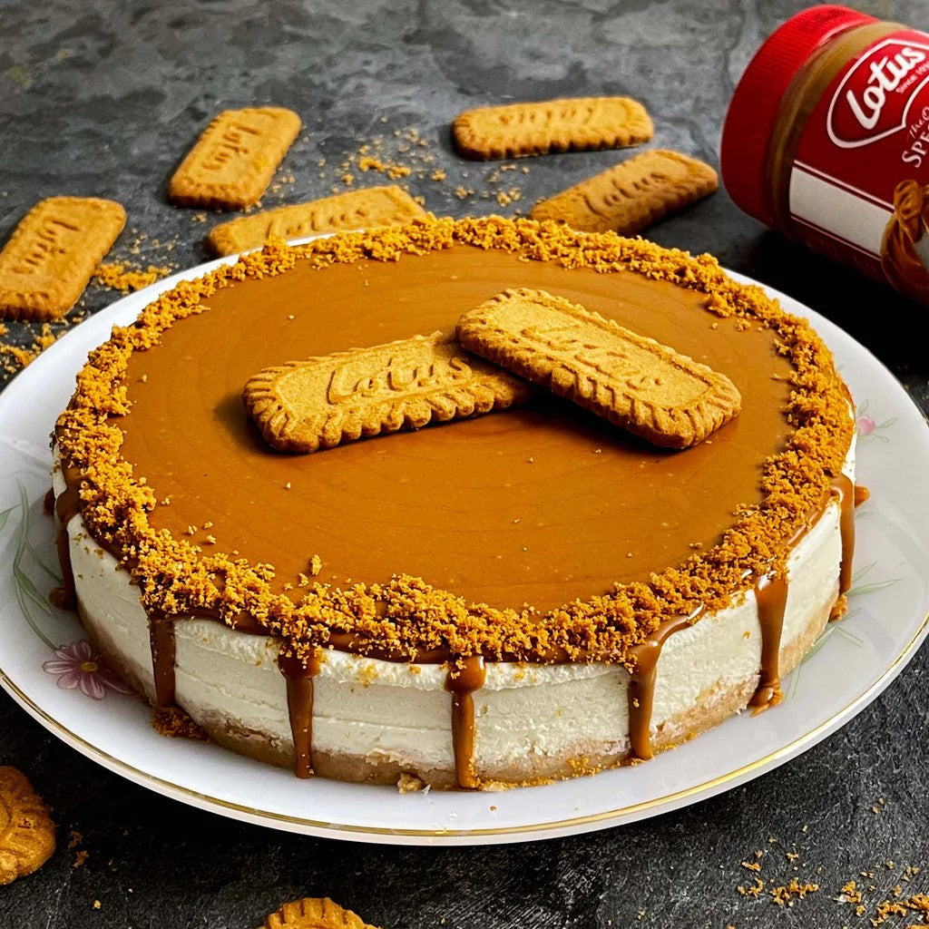 Lotus Biscoff CheeseCake